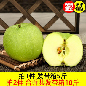 天瑞 金帅青苹果 果径70-75mm 5斤装 15.9元