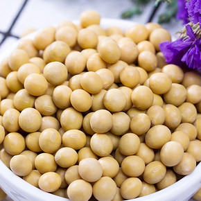 23日0点：柴火大院 黑龙江黄豆 2kg *4件 59.82元包邮（多重优惠） ￥50