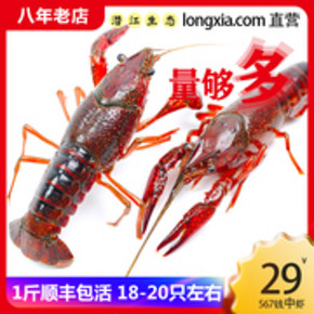 个大体肥！美仙虾 湖北鲜活清水龙虾1斤 30元 3斤顺丰冷链包邮