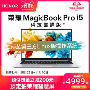 双11预售： HONOR 荣耀 MagicBook Pro 16.1英寸笔记本电脑（ i5-8265U、8GB、512GB、MX25