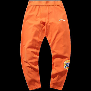 LI-NING 李宁 BADFIVEX 汰渍联名款 男子运动裤 253元（需定金）