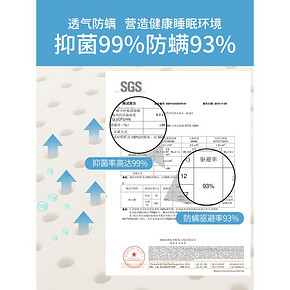 睡眠博士 泰国乳胶枕 买1赠1 2只装 94.95元11日0点抢 限双11前30秒