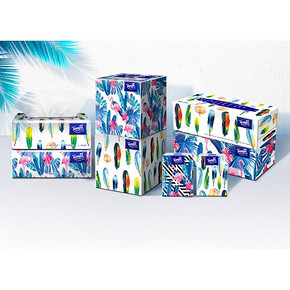 11日0点、88VIP： Tempo 得宝 Mini系列抽纸 4层*80抽*18包 *5件 156.39元包邮（前5分