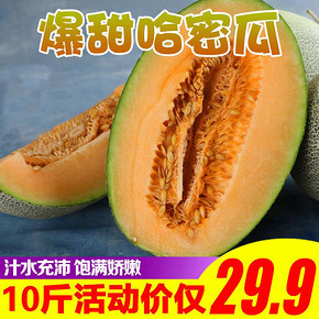 网纹哈密瓜净重9斤新鲜当季现摘直发水果一箱新疆黄河甜哈蜜瓜10 25.8元