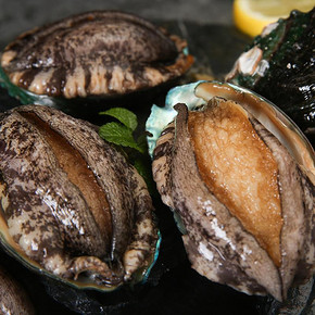 味库 鲜活鲍鱼（15-18头） 500g*2件+再送鲍鱼 200g 114元包邮（需用券） ￥114