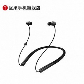 天猫 Smartisan 锤子 坚果 DS200 无线蓝牙耳机 199元包邮