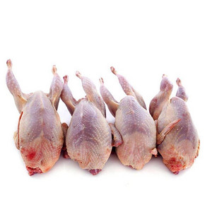 筱诺 白条鹌鹑肉 120g *6只 *2件 78元包邮（双重优惠） ￥78