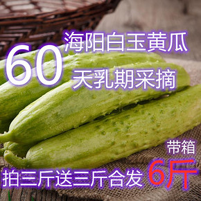 佑嘉木 海阳牛奶白玉黄瓜 净重约5-5.5斤 26.8元