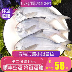 ￥68包邮 银鲳鱼鲜活野生海捕小鲳鱼顺丰包邮冷冻海鱼速冻海鲜水产海鲜鱼