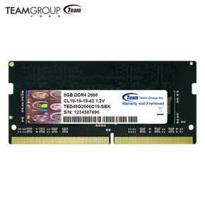 双12预告：Team 十铨 8GB DDR4 2666 笔记本内存条 黑色 175元包邮 ￥175