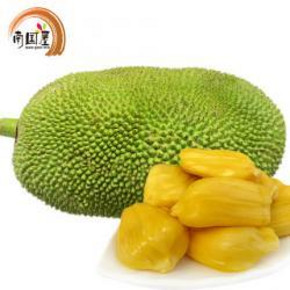 越南进口 红肉菠萝蜜 精选8-10斤 55.9元包邮（拍下立减）