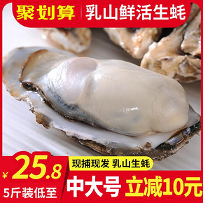 ￥25.8 乳山生蚝鲜活10斤5斤装一箱即食小牡蛎新鲜带壳海蛎子肉特大海鲜