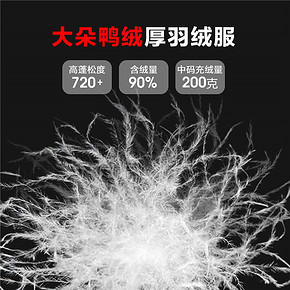 佐丹奴羽绒服男 冬季厚羽绒服90%灰鸭绒可机洗连帽羽绒01078659 449.91元