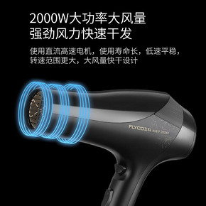 FLYCO飞科 FH6266 电吹风 *5件 269.5元（合53.9元/件）