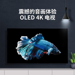 索尼（SONY） KD-55A8G 55英寸 4K OLED电视 10249元