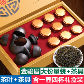天观地音 武夷山金骏眉茶叶120g+1壶4杯礼盒装 券后39.8元包邮 铁观音款同价