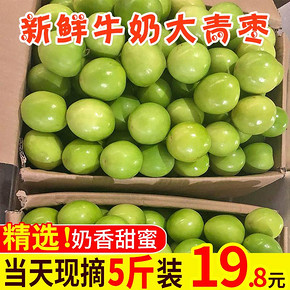 ￥14.9 牛奶大青枣5斤枣子新鲜当季水果大枣整箱包邮鲜枣冬枣特大脆枣