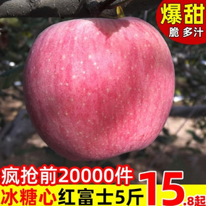 多滋园 冰糖心红富士苹果 果径75-80mm 不含箱9斤 19.8元