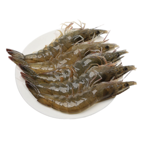 悦鲜佳 海捕海虾大虾 9-11cm 净重3.3斤 99元包邮（下单立减） ￥99