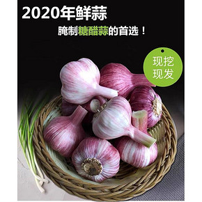 新鲜现挖 紫皮大蒜头 5斤 16.9元包邮