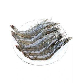大虾鲜活海鲜特大水产青岛超大冷冻基围虾鲜虾海虾速冻对虾青虾箱 实际到