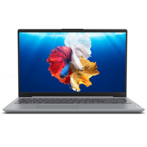 Lenovo 联想 小新15 2020款 15.6英寸笔记本电脑（i5-1035G1、16GB、512GB、MX350） 5099
