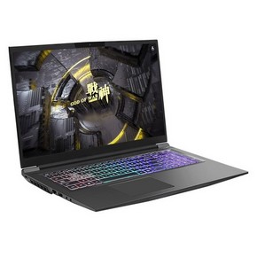 HASEE 神舟 战神 G7-CT7VK 17.3英寸游戏笔记本（i7-9750H、16GB、256GB+1TB、GTX1660Ti） 