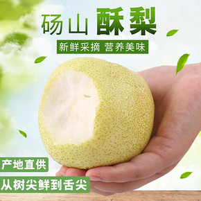 砀山梨 水果新鲜 鲜嫩多汁 整箱10斤 16.8元