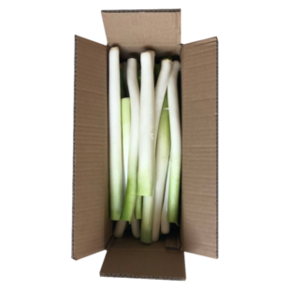 鲜利时 章丘大葱 5斤装 9.9元 ￥10