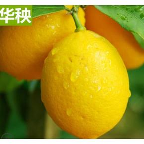 百亿补贴： 华秧 安岳黄柠檬 150g-250g大果 5斤 7.9元包邮