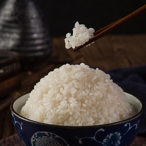 碧江雪玉 吉林大米 2018年现磨新米 榆树东北大米 5kg 29.9元