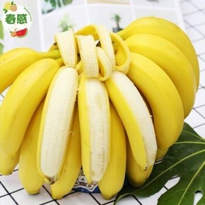 天猫 香蕉 高山野生 香甜大香蕉 10斤 19.8元包邮