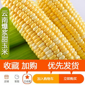 云南新鲜玉米现摘现发牛奶脆甜玉米爆浆嫩玉米棒生吃水果玉米 29.7元
