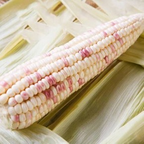 天猫 佑嘉木 花色甜糯玉米棒 2.5kg 14.8元包邮（需用券）