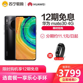 华为（HUAWEI） Mate 30 4G版 智能手机 8GB+128GB 全网通 星河银 3029元