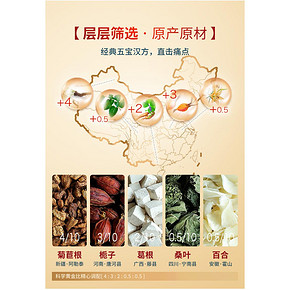 修正 菊苣栀子茶 20包 降尿酸 缓解痛风 20元6.1狂欢价