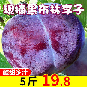 陕西新鲜黑布林李子孕妇新鲜水果10斤应当季脆甜多汁非三华李西梅 21.8元