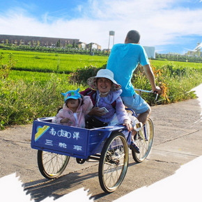 SOUTH OCEAN 南洋 68CM车厢 人力三轮车 508元