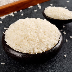 东北大米2.5kg2019年新米圆粒珍珠米粳米真空吉林小町寿司香米5斤 19.9元