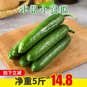 黄瓜新鲜水果小黄瓜无刺青瓜5斤整箱生吃山东当季蔬菜助农10包邮 13.8元