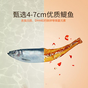 劲仔小鱼干小鱼仔40包湖南特产鱼排小黄鱼海味零食小吃即食旗舰店 29.39元