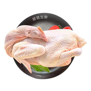筱诺 新鲜现杀散养三黄鸡 750g/只 *4件 *4件 72.8元（需用券，合18.2元/件）
