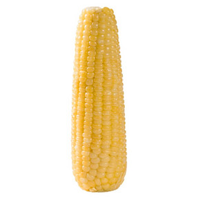 【现摘现发】新鲜甜糯玉米2600g
