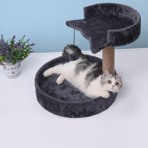 宠物用品猫窝猫爬架特价猫咪逗猫玩具猫抓板