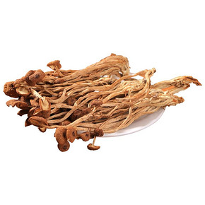 【200g】初鲜岭茶树菇干货开伞