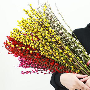 【20束】年宵花红色真花银柳花干花