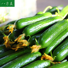【整箱5斤】新鲜水果黄瓜