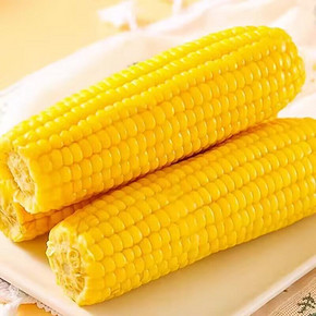 【冬田】东北甜糯黑黄玉米10根/2200g