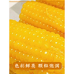 约4斤新鲜黄糯玉米独立包装10根