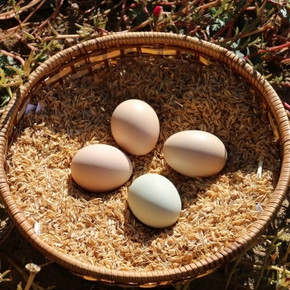 天然新鲜# 青木珍选 林间散养木兰湖鸡蛋 30枚 18.8元包邮